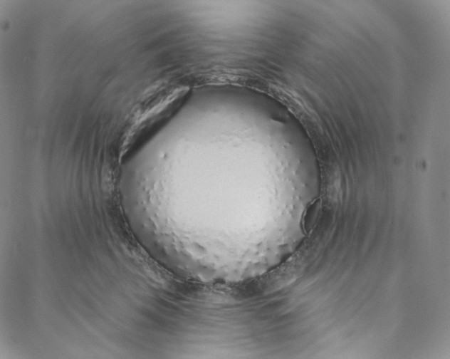 X0000088020569200705251054