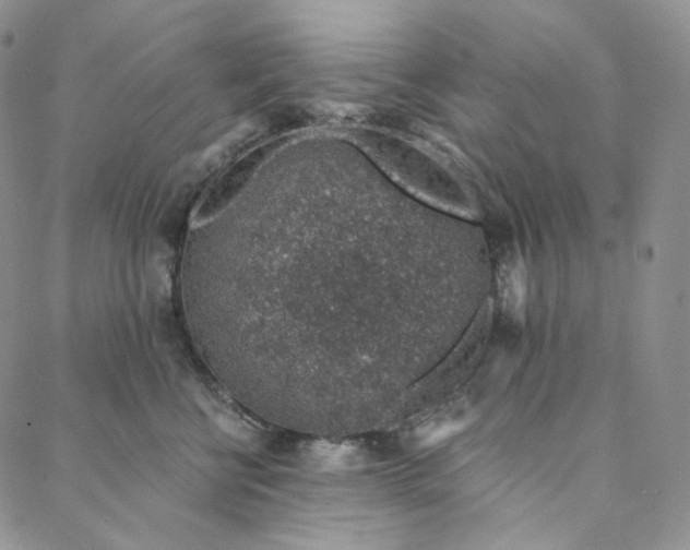 X0000088020570200705251054