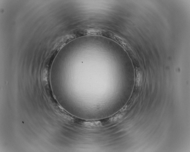 X0000088020571200705251054