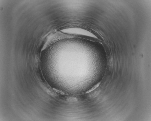 X0000088020572200705251054