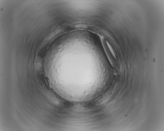 X0000088020573200705251054