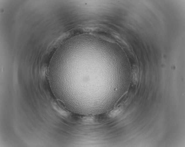 X0000088020574200705251054