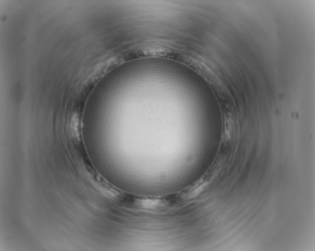 X0000088020575200705251055