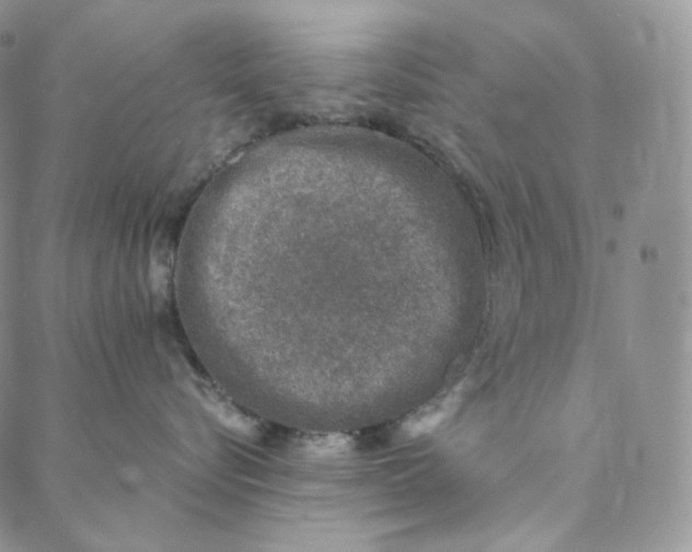 X0000088020576200705251055