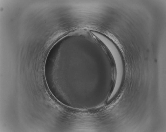 X0000088020577200705251054