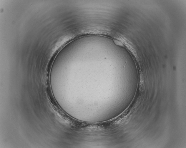 X0000088020578200705251054