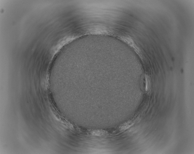 X0000088020579200705251054