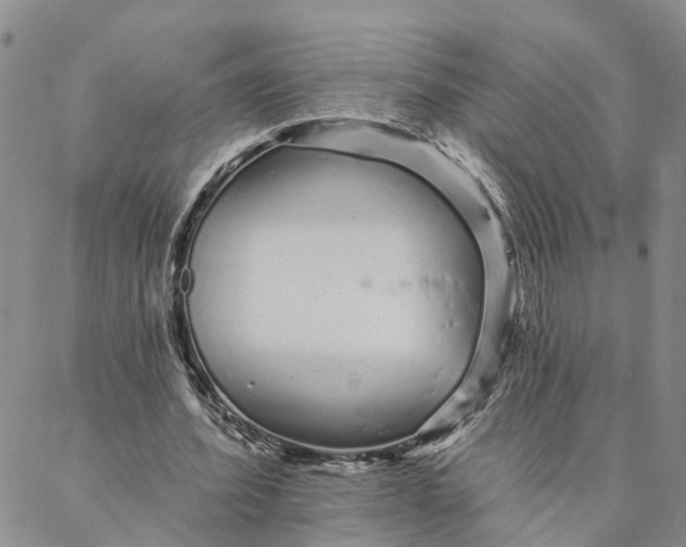 X0000088020580200705251054