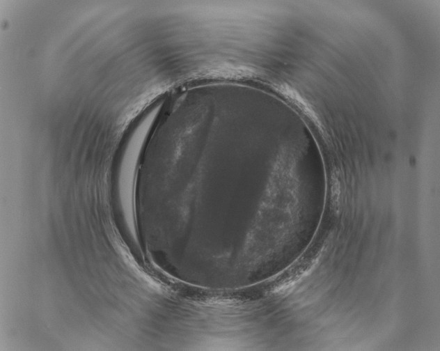 X0000088020581200705251054