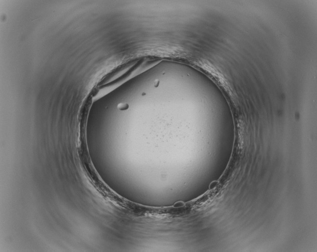 X0000088020582200705251054