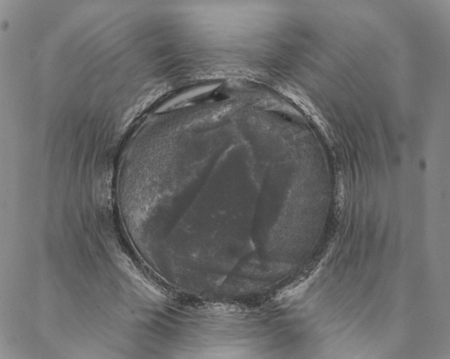 X0000088020585200705251054