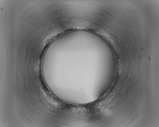 X0000088020586200705251054