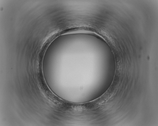 X0000088020587200705251054