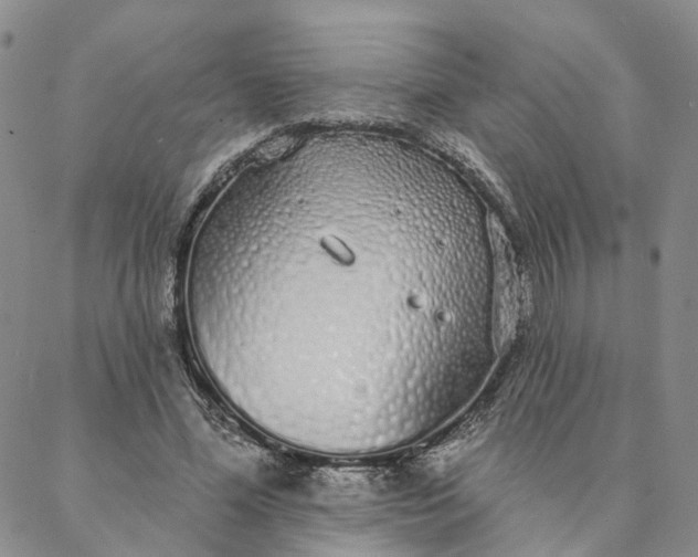 X0000088020588200705251054