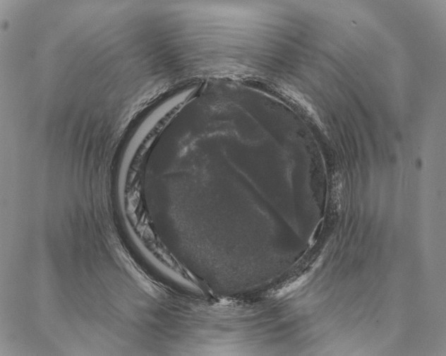 X0000088020589200705251054