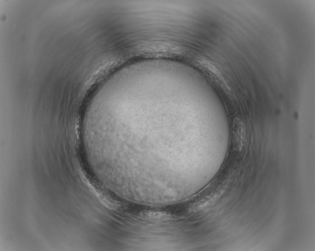 X0000088020590200705251054