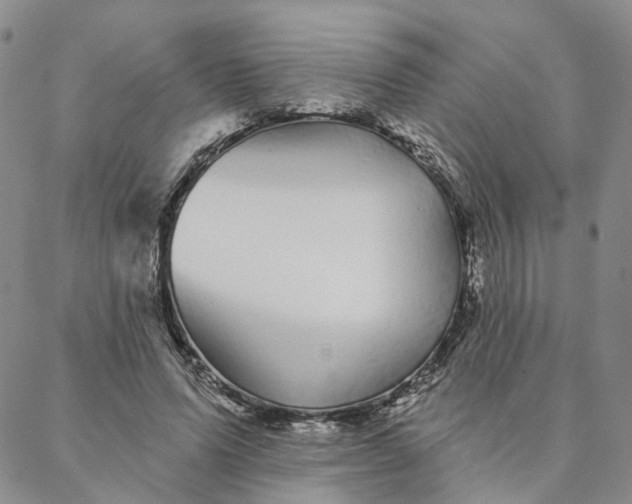 X0000088020591200705251054