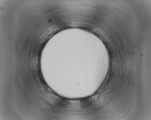 X0000088020592200705251054