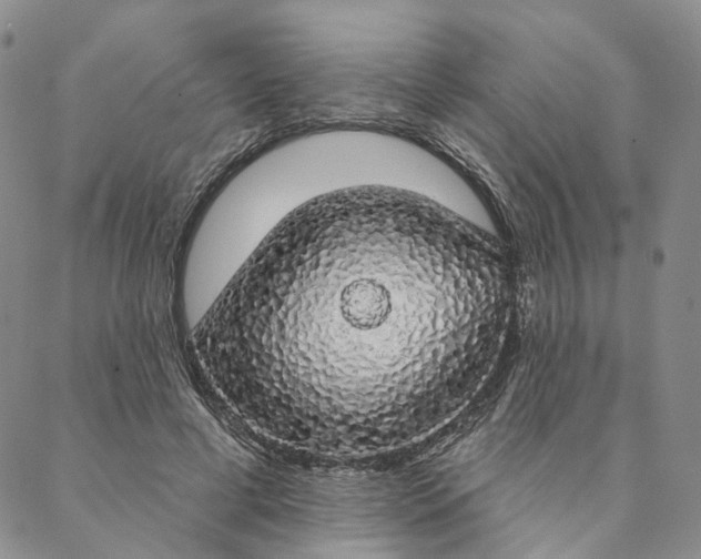 X0000088020593200705251053