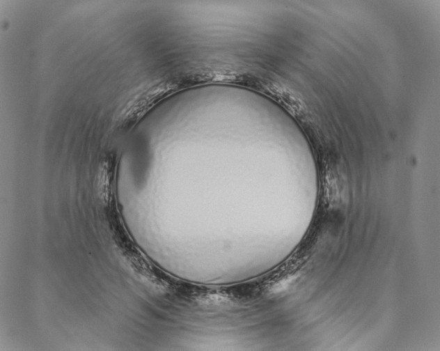 X0000088020594200705251053