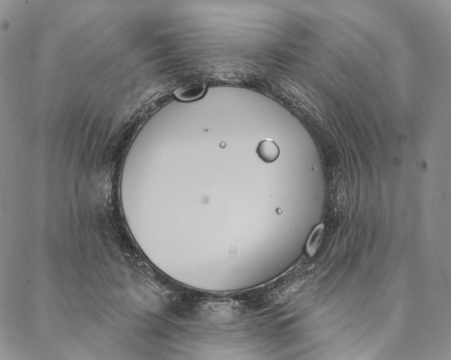 X0000088020595200705251053