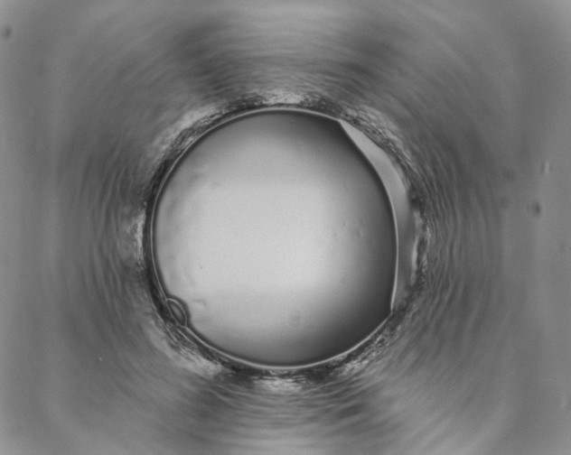 X0000088020596200705251053