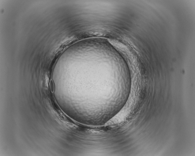 X0000088020597200705251053