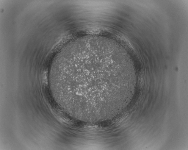 X0000088020598200705251053