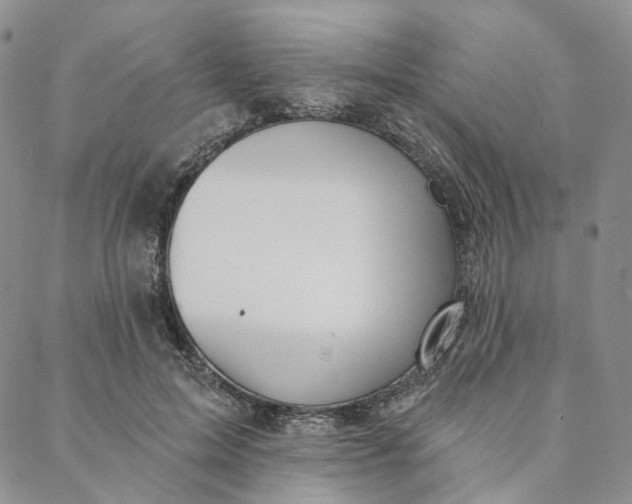 X0000088020599200705251053