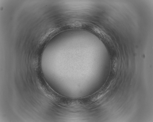 X0000088020600200705251053