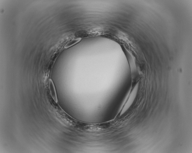 X0000088020601200705251053