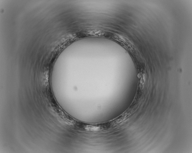 X0000088020602200705251053