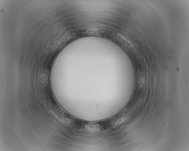 X0000088020603200705251053