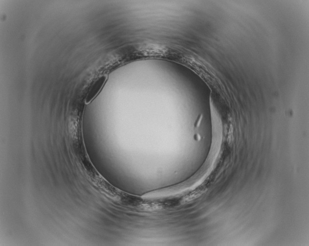 X0000088020604200705251053