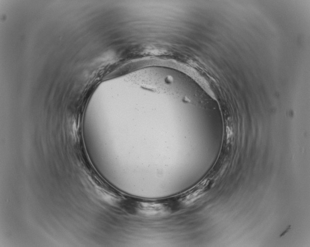 X0000088020605200705251053