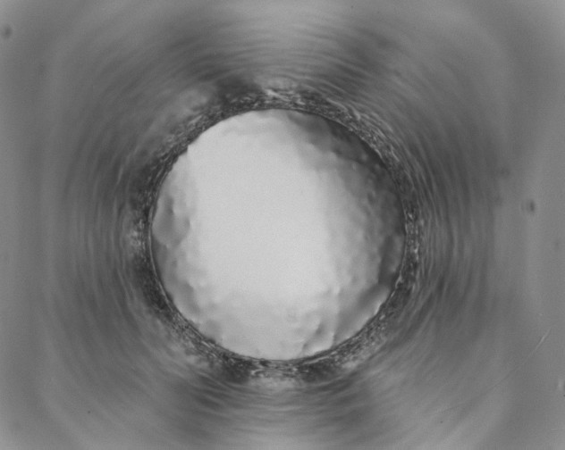 X0000088020606200705251053