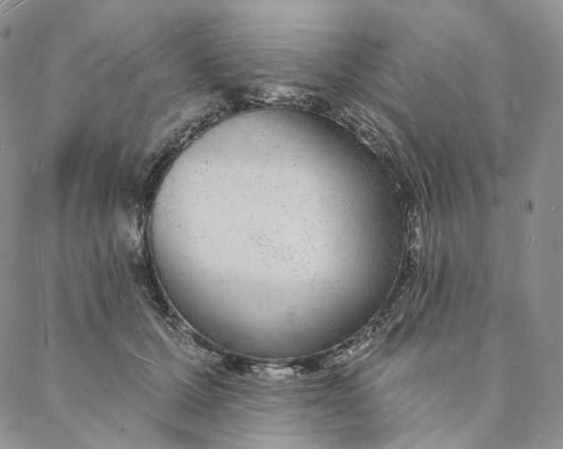 X0000088020607200705251053