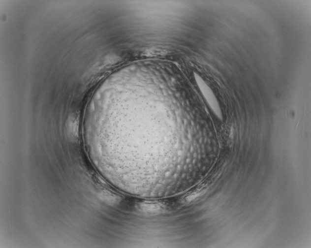 X0000088020608200705251053