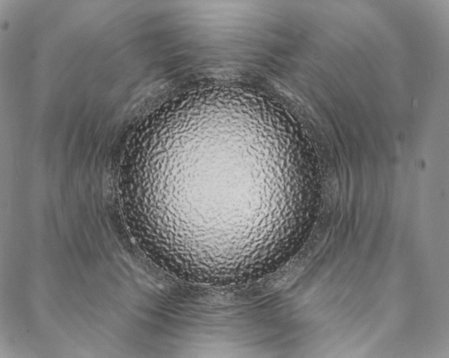 X0000088020609200705251053