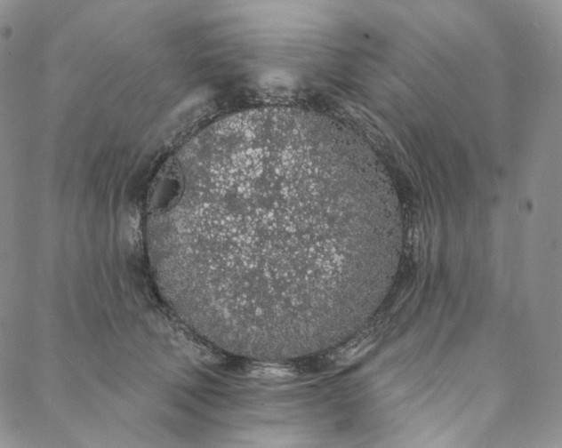 X0000088020610200705251053