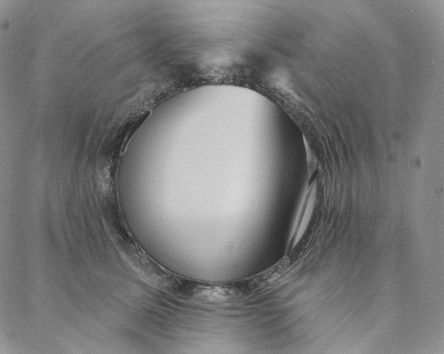 X0000088020611200705251053