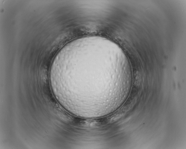 X0000088020612200705251053