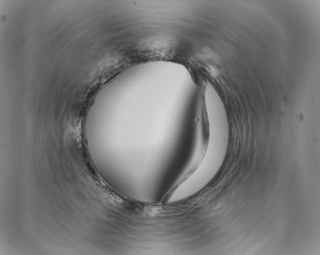 X0000088020613200705251053