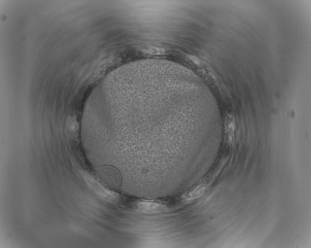 X0000088020614200705251053