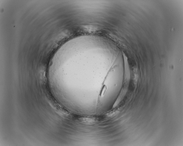 X0000088020615200705251053