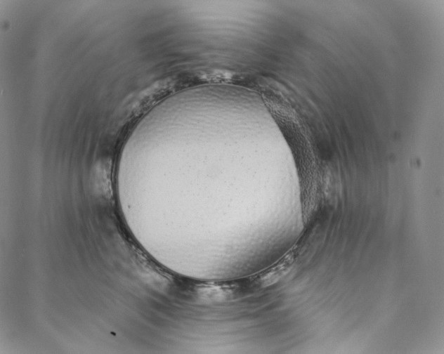 X0000088020616200705251053