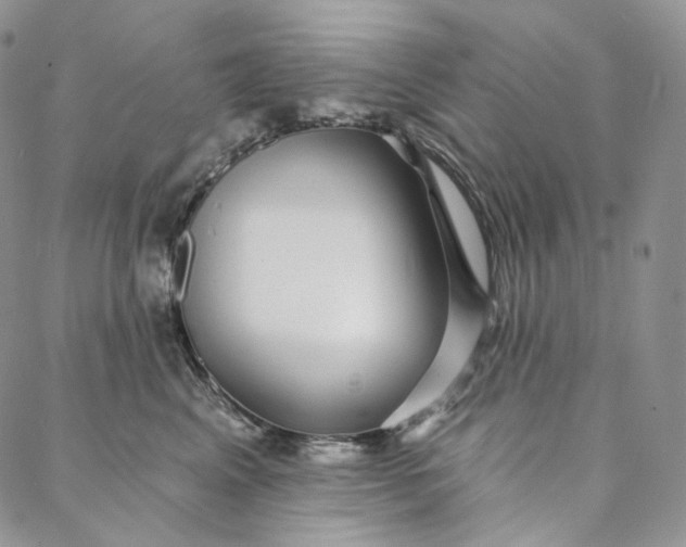 X0000088020617200705251053