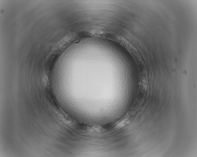 X0000088020618200705251053