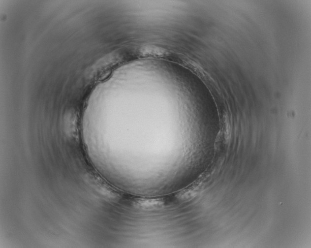 X0000088020619200705251053