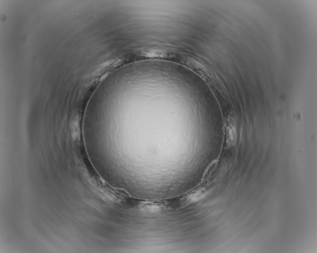 X0000088020620200705251053